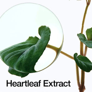 Heartleaf Pore Control Cleansing Oil - Kahng