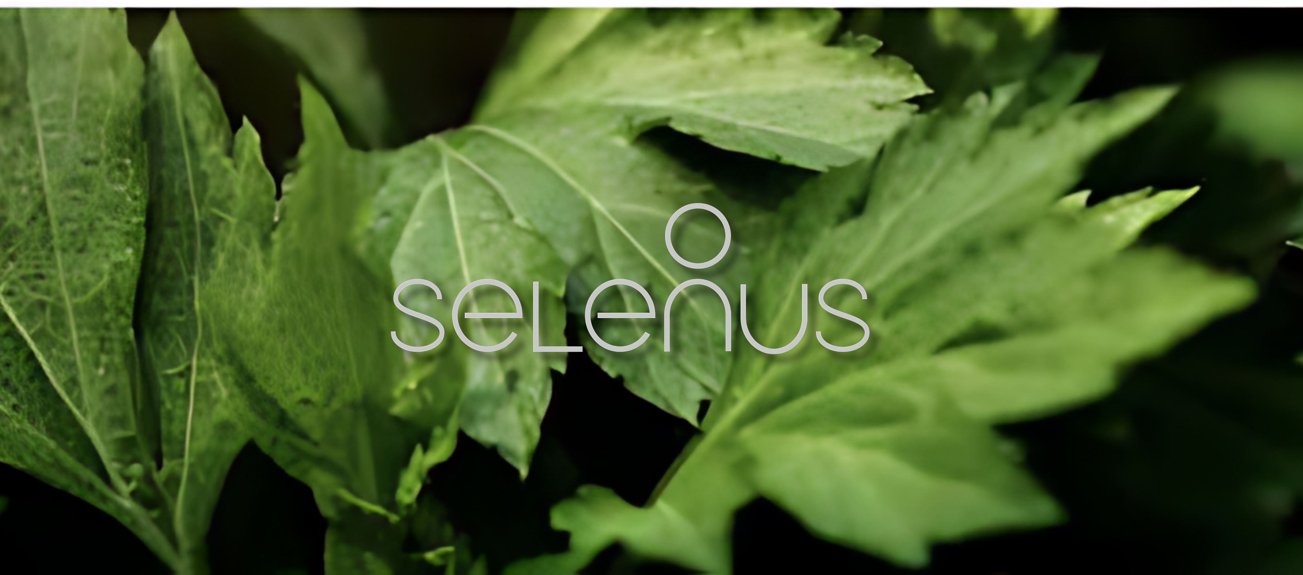 Selenus : L'Harmonie de la Beauté et de la Nature