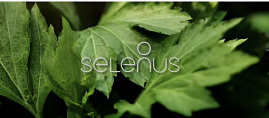 Selenus : L'Harmonie de la Beauté et de la Nature