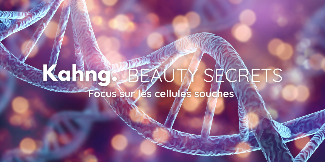 Focus sur les cellules souches et k-beauty