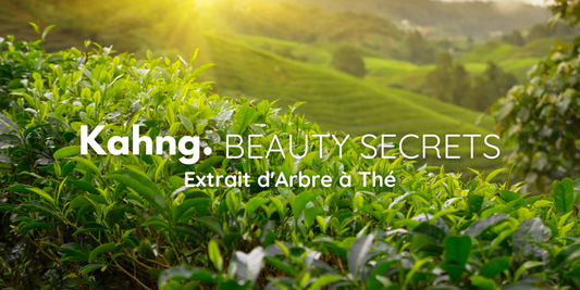 L'Arbre à Thé dans la K-Beauty : Le Secret d’une Peau Impeccable 🌿