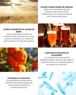 Contently After All! Shampooing Revitalisant (300ml) - Kahng